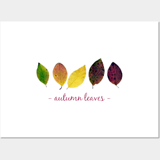 Autumn leaves Posters and Art